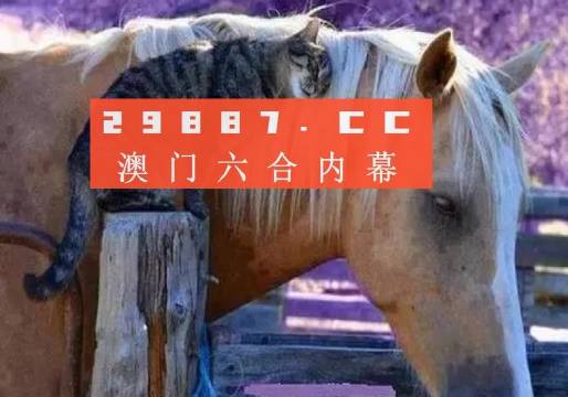 澳门选一肖一码一码资料,状态解答解释落实_探索版49.664