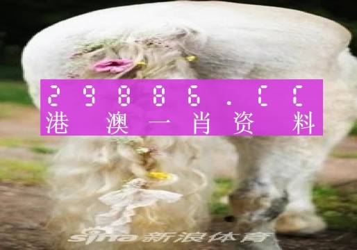 澳门2024今晚一肖一码,全面解答解释落实_优选版95.473