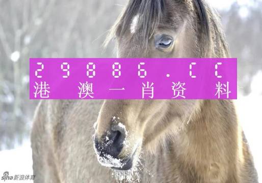 最准一肖一码100%香港78期  ,动态词语解释落实_豪华版180.300